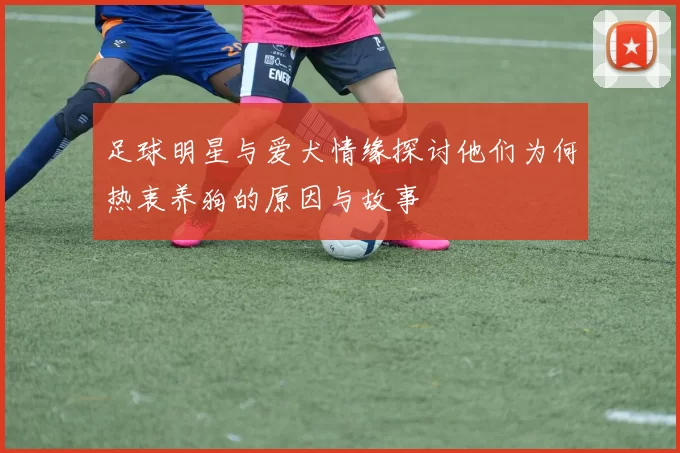 足球明星与爱犬情缘探讨他们为何热衷养狗的原因与故事