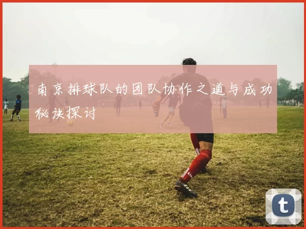 南京排球队的团队协作之道与成功秘诀探讨