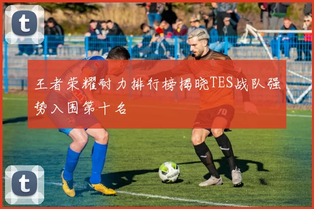 王者荣耀耐力排行榜揭晓TES战队强势入围第十名
