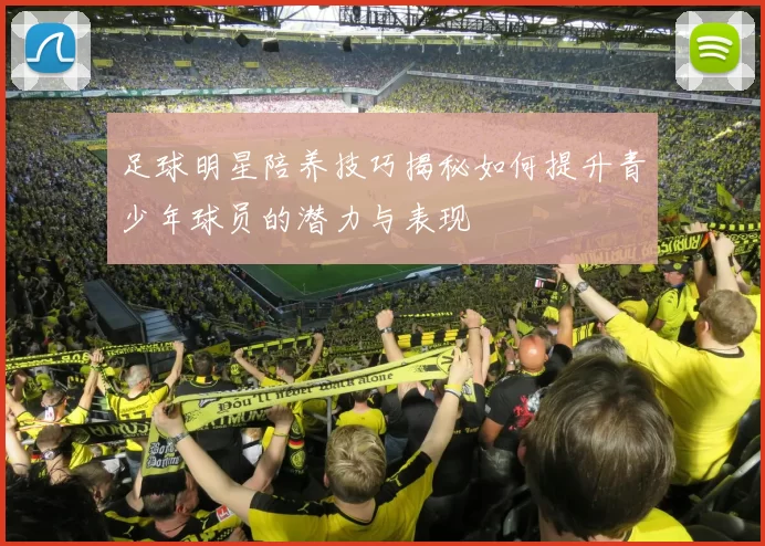 足球明星陪养技巧揭秘如何提升青少年球员的潜力与表现