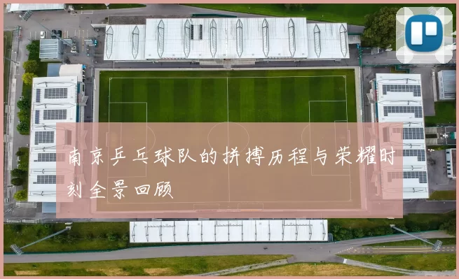 南京乒乓球队的拼搏历程与荣耀时刻全景回顾