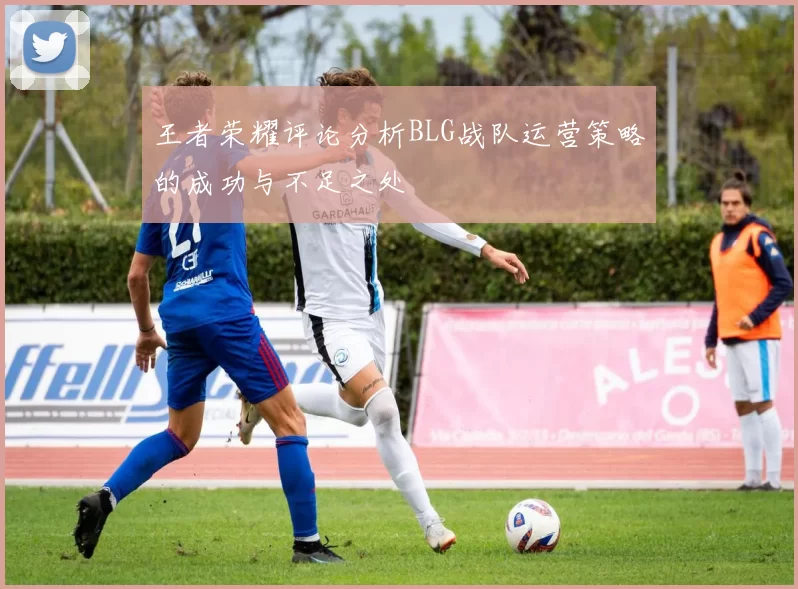 王者荣耀评论分析BLG战队运营策略的成功与不足之处