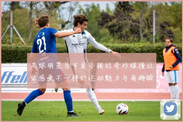 足球明星与可爱小猪的奇妙碰撞让你感受不一样的运动魅力与萌趣瞬间