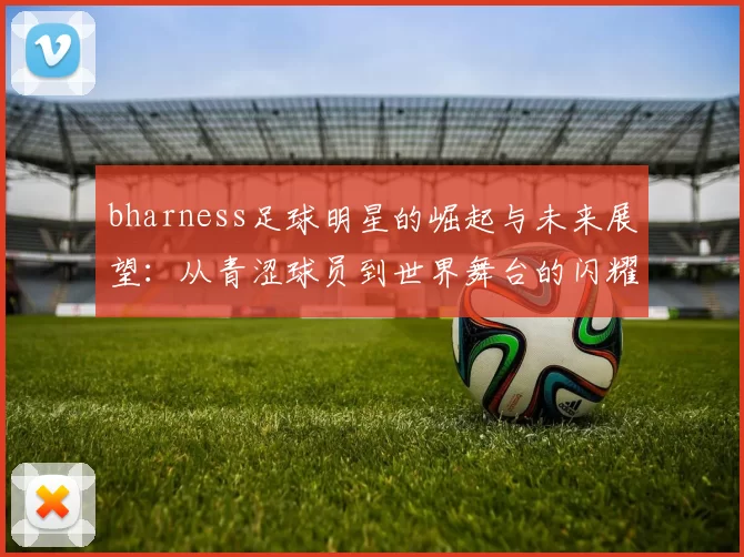 bharness足球明星的崛起与未来展望：从青涩球员到世界舞台的闪耀之路