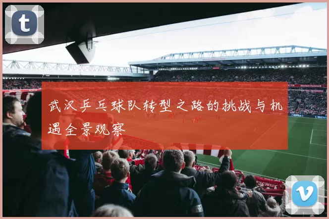 武汉乒乓球队转型之路的挑战与机遇全景观察