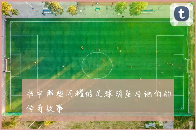 书中那些闪耀的足球明星与他们的传奇故事