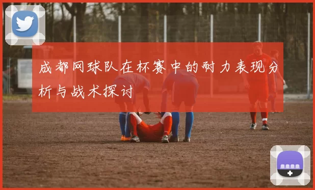 成都网球队在杯赛中的耐力表现分析与战术探讨