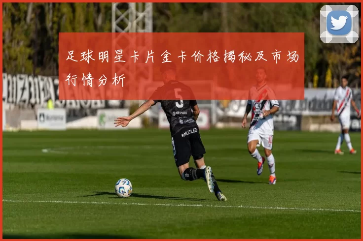 足球明星卡片金卡价格揭秘及市场行情分析