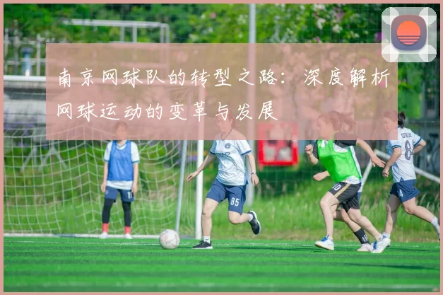 南京网球队的转型之路：深度解析网球运动的变革与发展