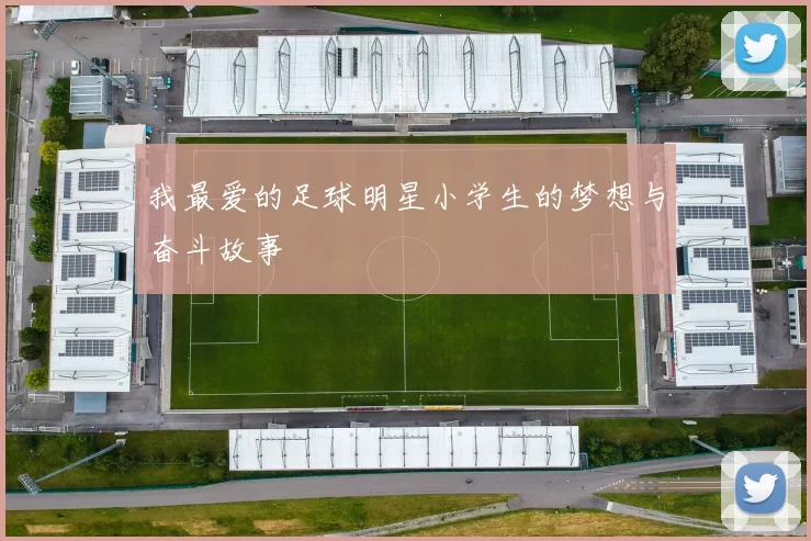 我最爱的足球明星小学生的梦想与奋斗故事