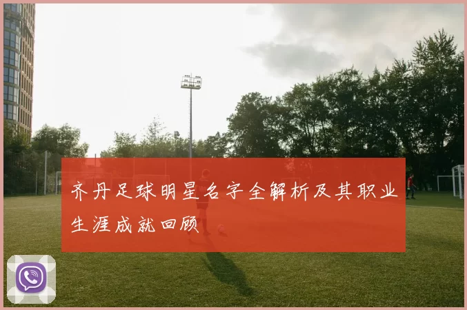 齐丹足球明星名字全解析及其职业生涯成就回顾