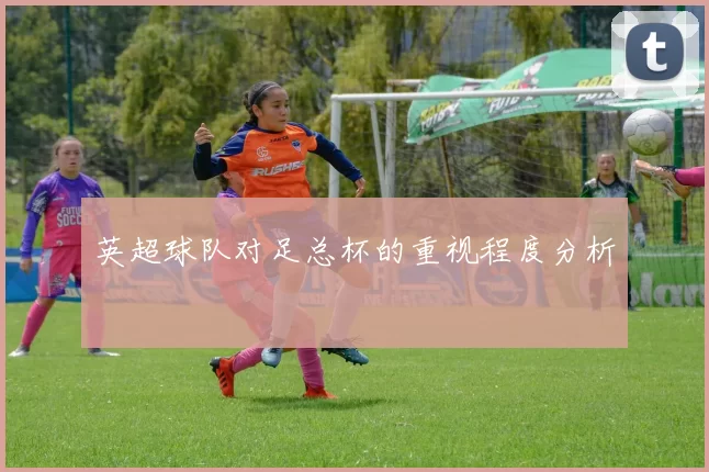英超球队对足总杯的重视程度分析