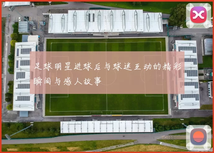 足球明星进球后与球迷互动的精彩瞬间与感人故事
