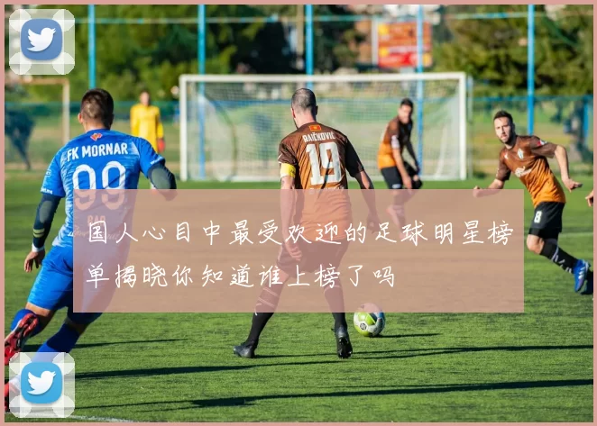 国人心目中最受欢迎的足球明星榜单揭晓你知道谁上榜了吗