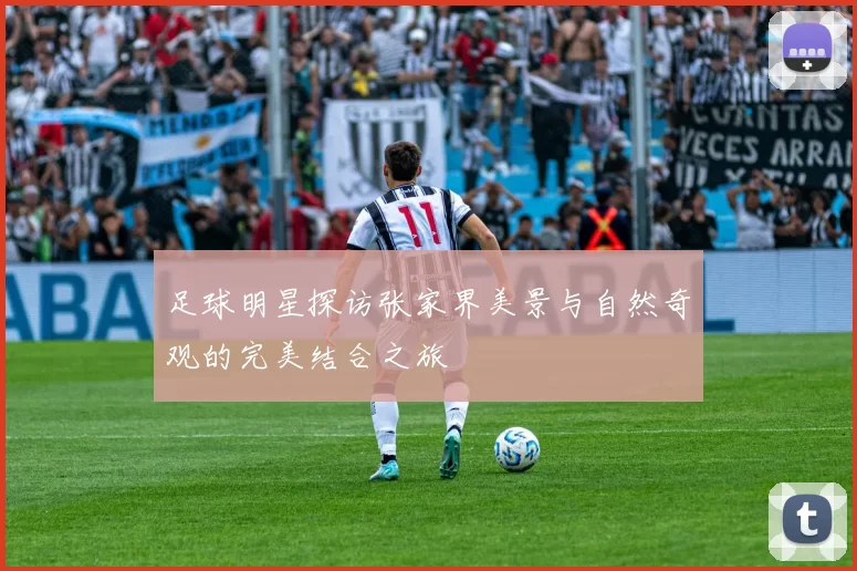 足球明星探访张家界美景与自然奇观的完美结合之旅