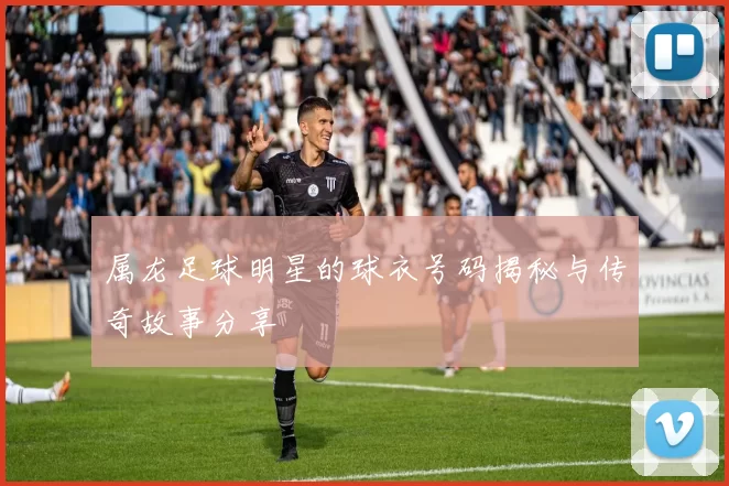 属龙足球明星的球衣号码揭秘与传奇故事分享