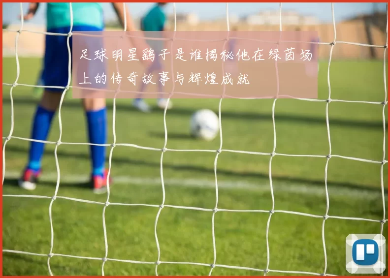 足球明星鹞子是谁揭秘他在绿茵场上的传奇故事与辉煌成就