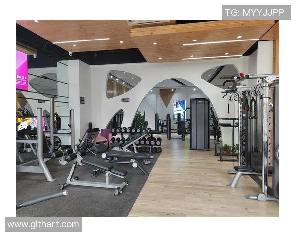 郑州哪里可以买到优质健身器材？热门购买地点一览