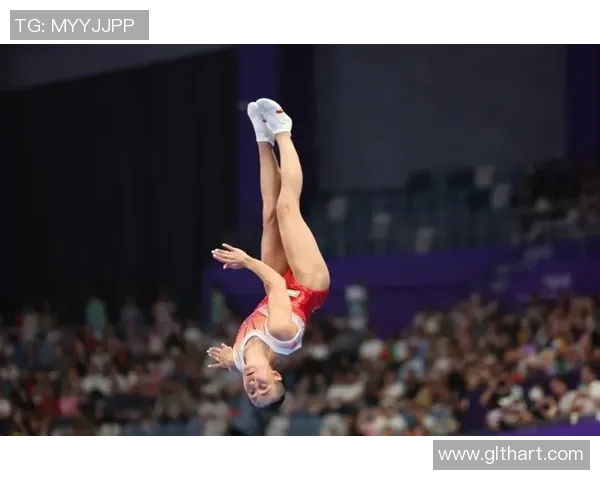 竞技体操C级水平解析与提升路径探索