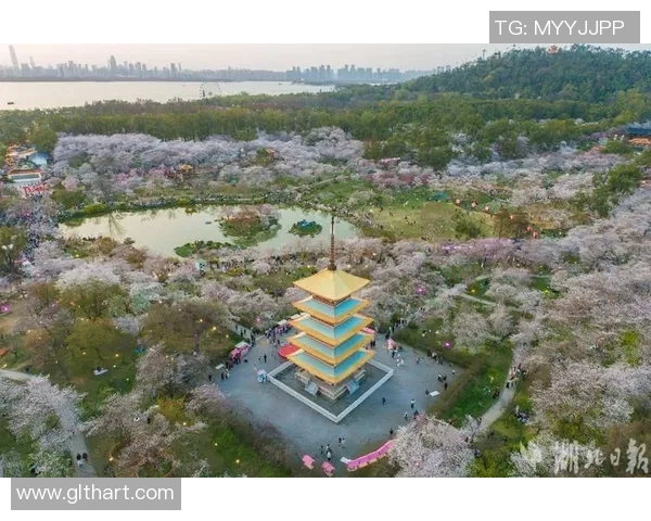 武汉旅游必去的十大景点推荐让你领略这座城市的魅力与风光